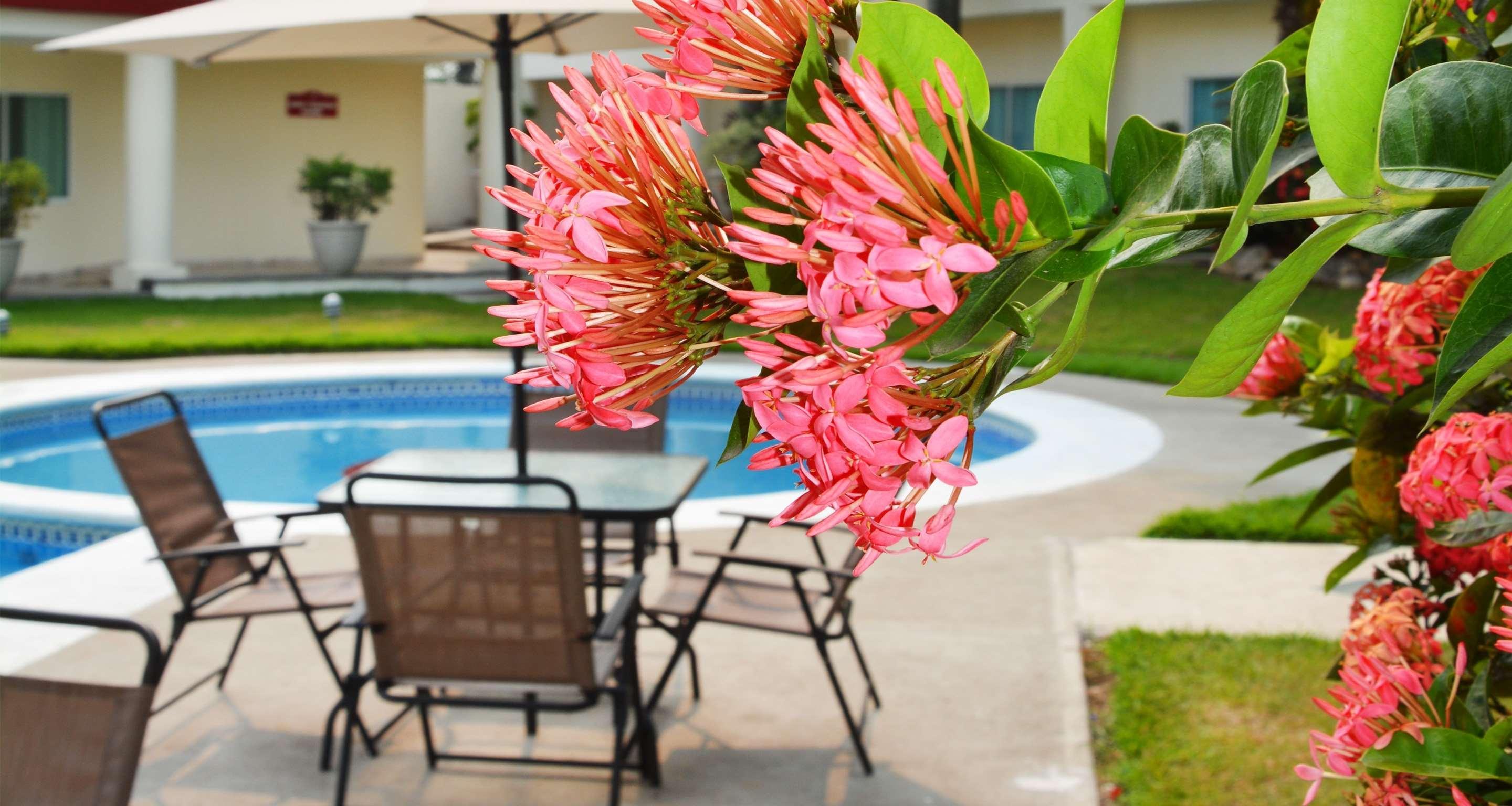 Best Western Plus Tuxtepec Exterior foto